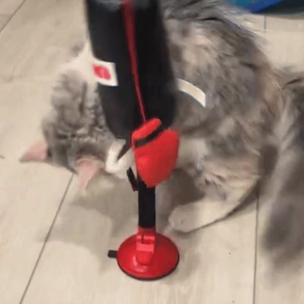 Cat Punching Bag Toy