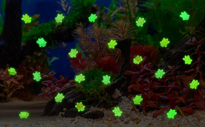 100 Pcs Mini Resin Turtles Glow in the Dark