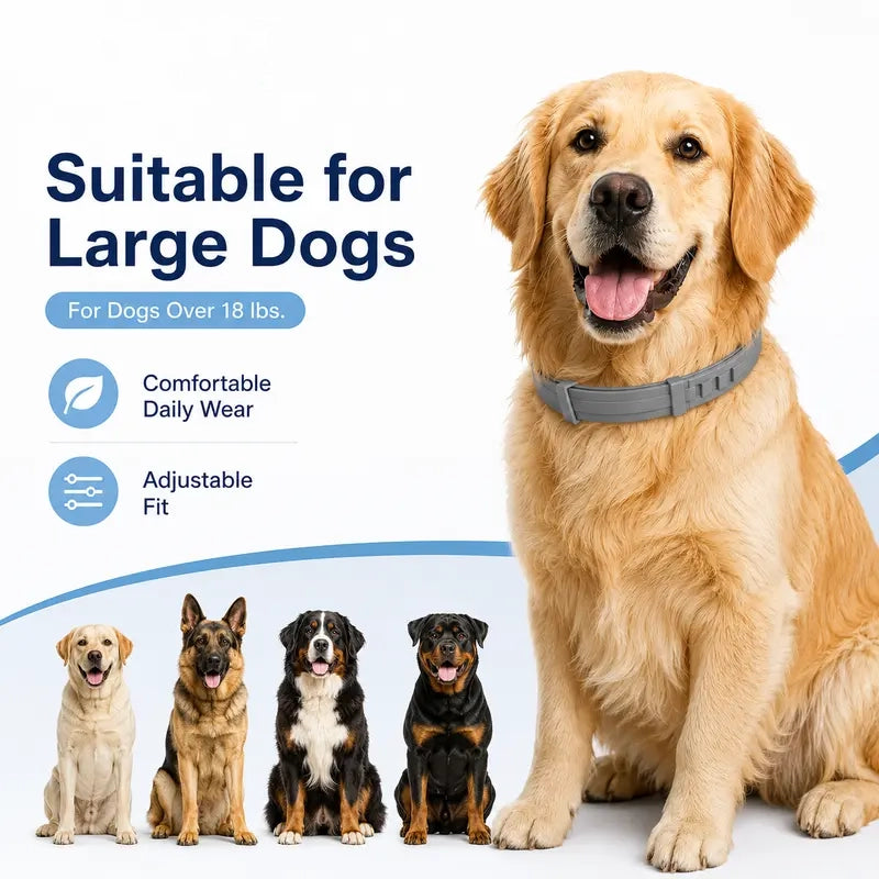 Adjustable Fresh-Scent Dog Collar Set (3 PCS) – Lightweight & Comfortable for Large Dogs