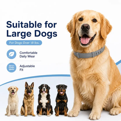 Adjustable Fresh-Scent Dog Collar Set (3 PCS) – Lightweight & Comfortable for Large Dogs