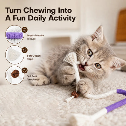 3pcs Interactive Cat Chew Rope Toys for Dental Care &amp; Play