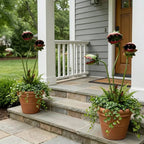 last-day-49-off-whimsical-metal-carnivorous-plant-garden-stake-8717