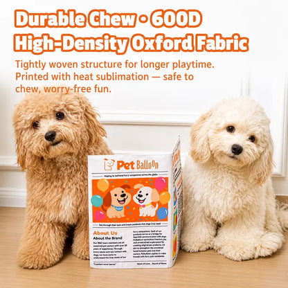 Durable Crinkle Newspaper Dog Toy Set – 2PCS Interactive Chew Toy for Dogs