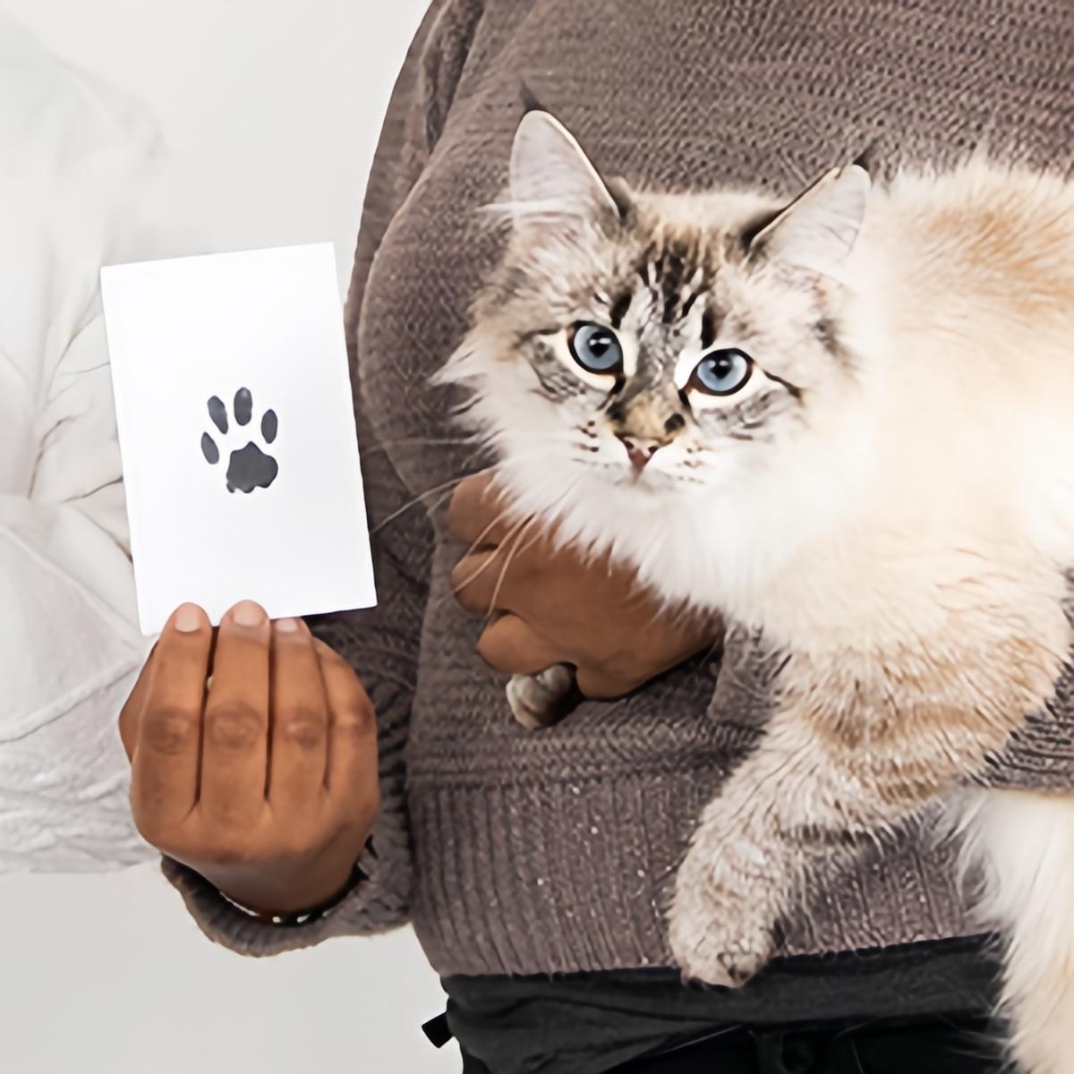 🐾 Paw Print Keepsake Kit – Clean Touch Ink Pad & Photo Frame Set