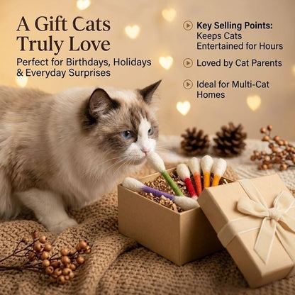 6Pack Cotton Swabs Cat Toys with Catnip