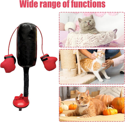 Cat Punching Bag Toy