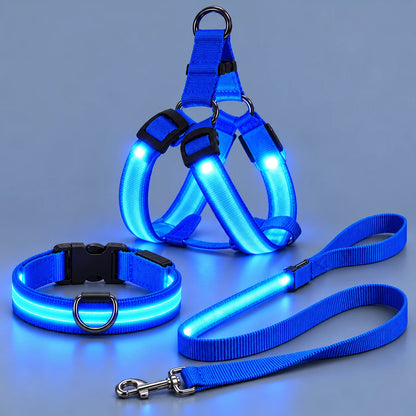 🎁LED Light-Up Dog Harness and Leash Set