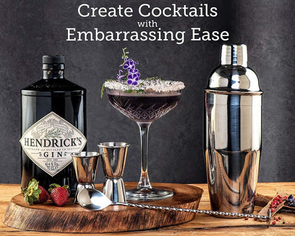 10-Piece Stainless Steel Cocktail Shaker & Bartender Kit