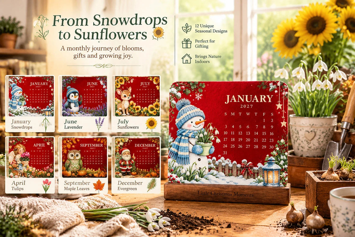 🎁Christmas Limited-Edition — 🪴✨ Eco-Friendly Plantable “Timeless” Seed Calendar 2027