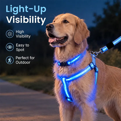 🎁LED Light-Up Dog Harness and Leash Set