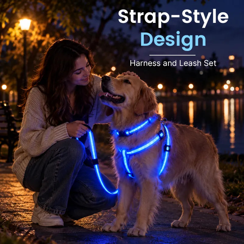🎁LED Light-Up Dog Harness and Leash Set