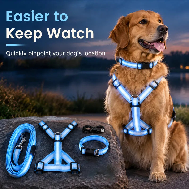 🎁LED Light-Up Dog Harness and Leash Set