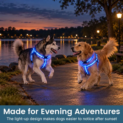 🎁LED Light-Up Dog Harness and Leash Set