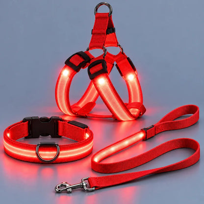 🎁LED Light-Up Dog Harness and Leash Set