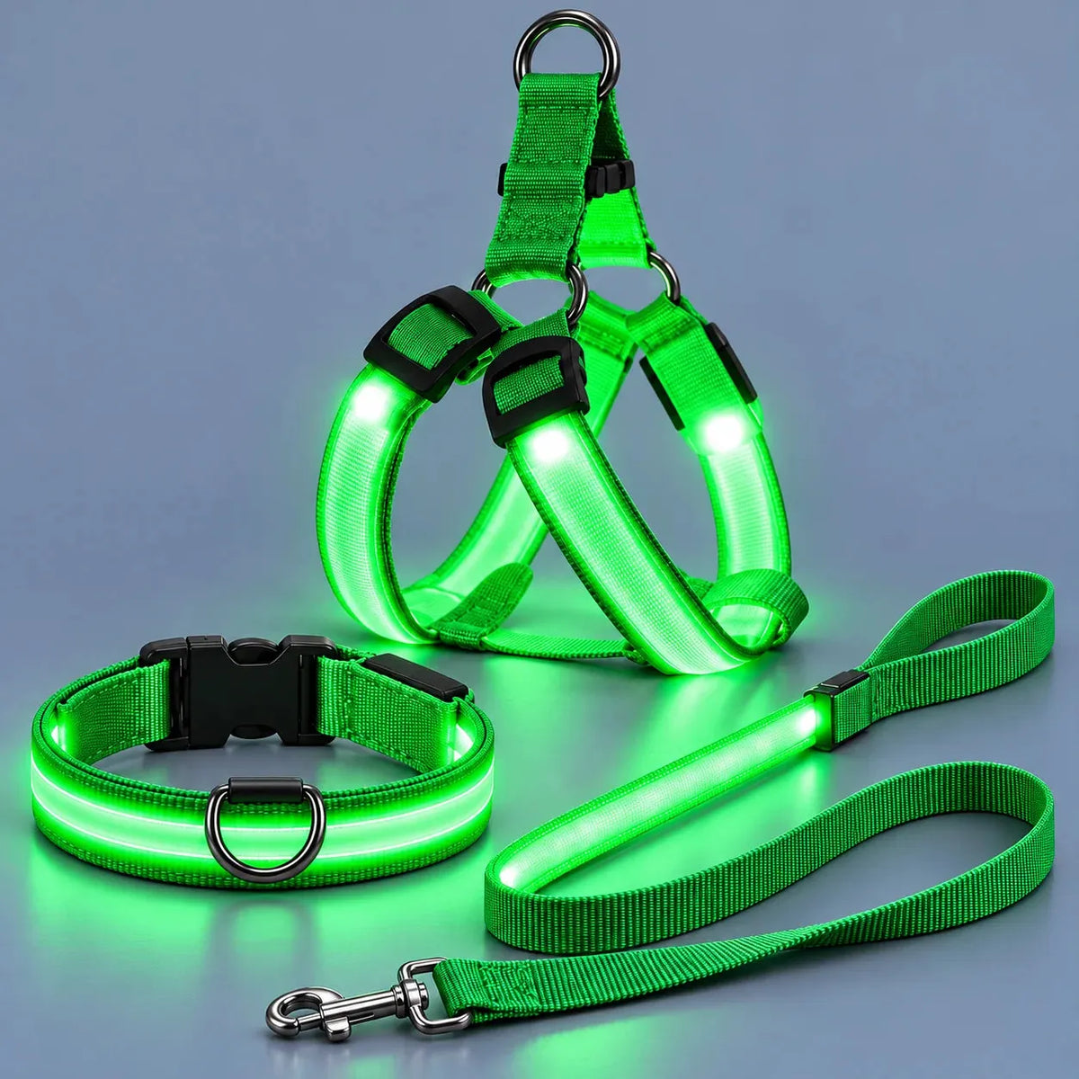 🎁LED Light-Up Dog Harness and Leash Set