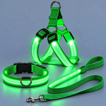 🎁LED Light-Up Dog Harness and Leash Set
