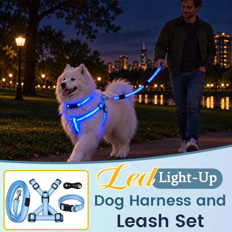 🎁LED Light-Up Dog Harness and Leash Set