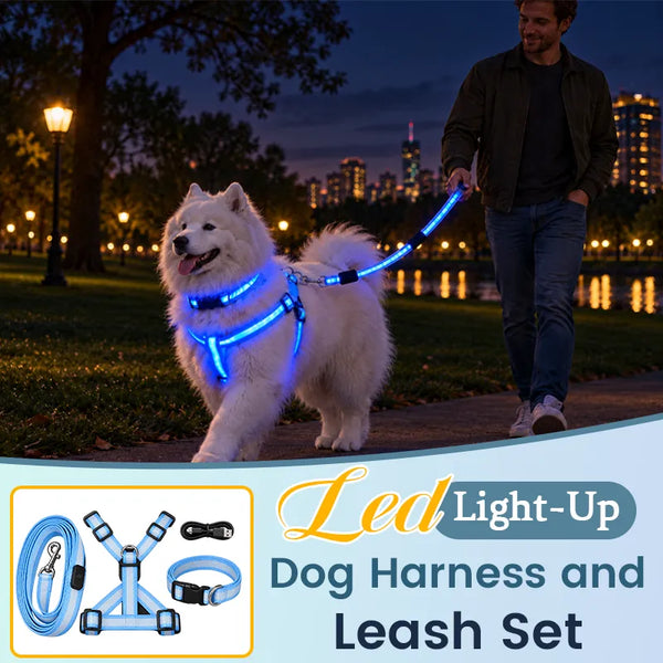 🎁LED Light-Up Dog Harness and Leash Set