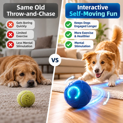 🎁Self-Moving Interactive Dog Ball – USB Rechargeable Pet Toy
