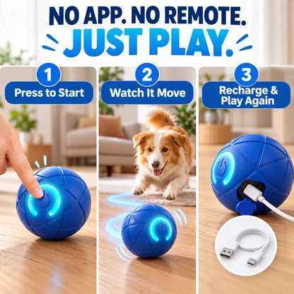 🎁Self-Moving Interactive Dog Ball – USB Rechargeable Pet Toy