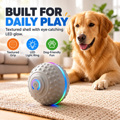 🎁Self-Moving Interactive Dog Ball – USB Rechargeable Pet Toy