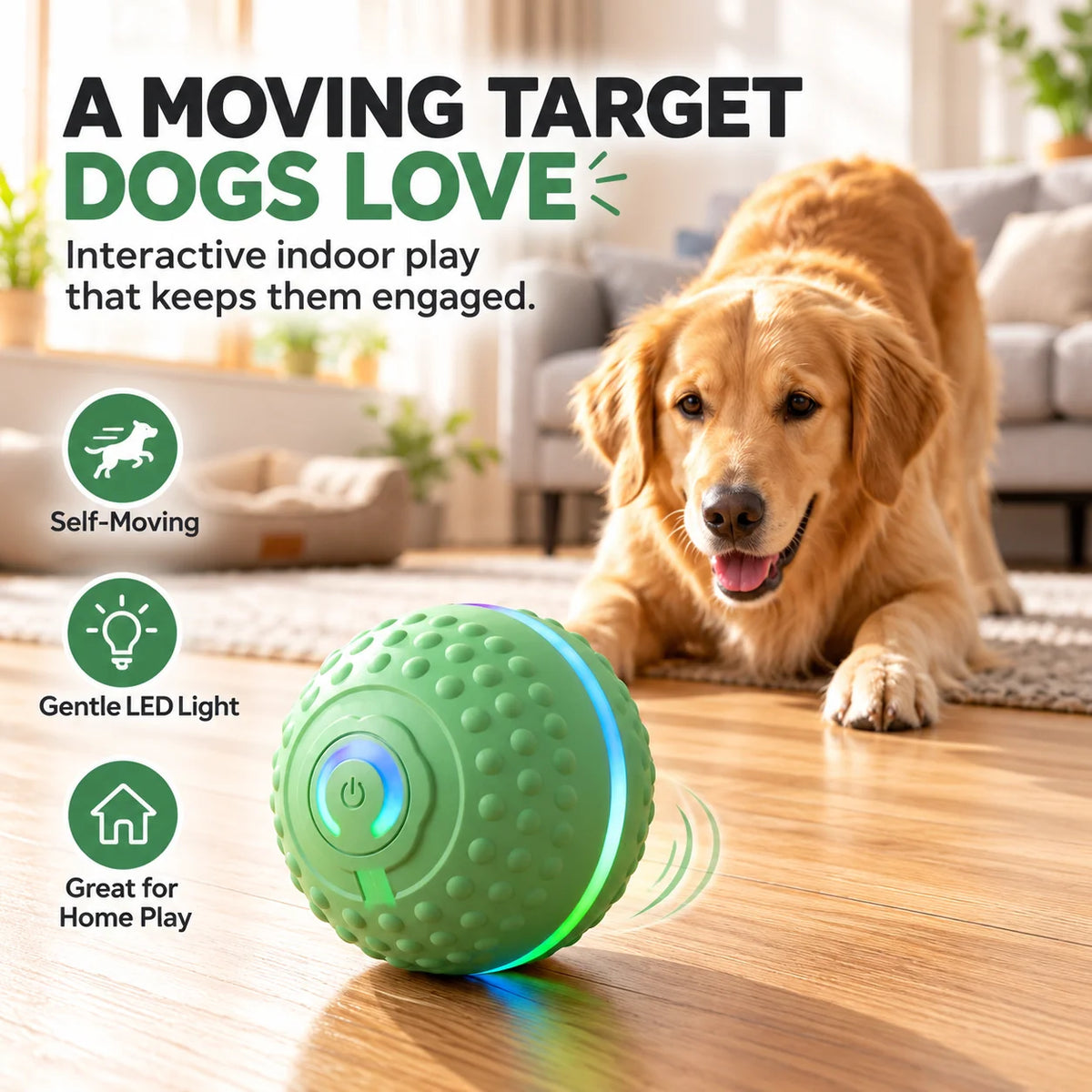 🎁Self-Moving Interactive Dog Ball – USB Rechargeable Pet Toy