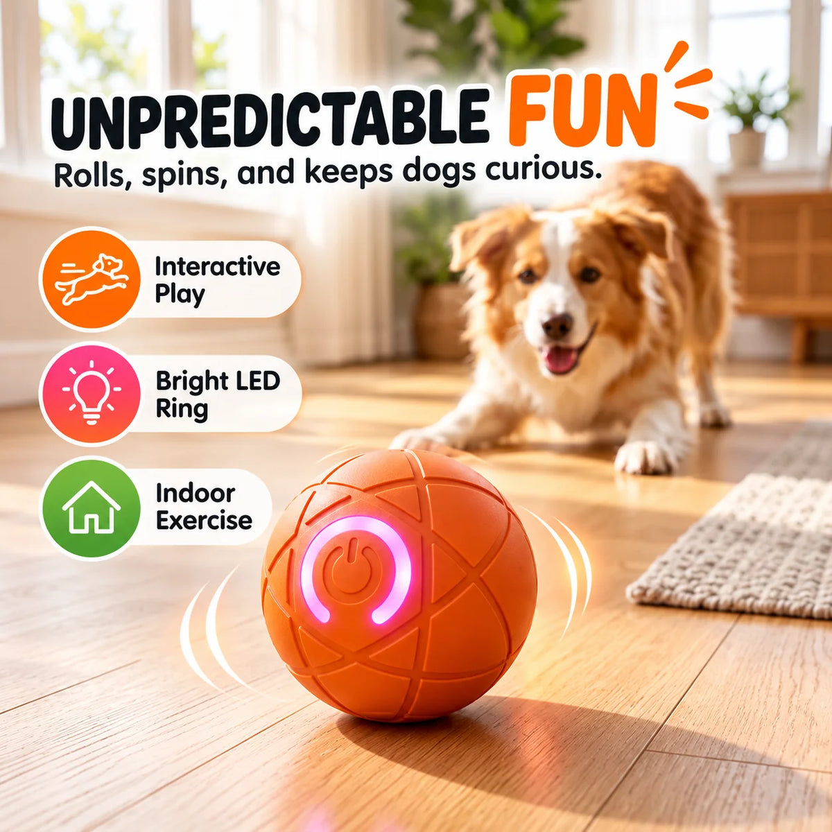 🎁Self-Moving Interactive Dog Ball – USB Rechargeable Pet Toy