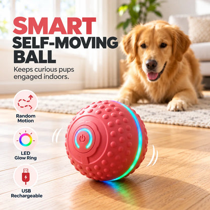 🎁Self-Moving Interactive Dog Ball – USB Rechargeable Pet Toy
