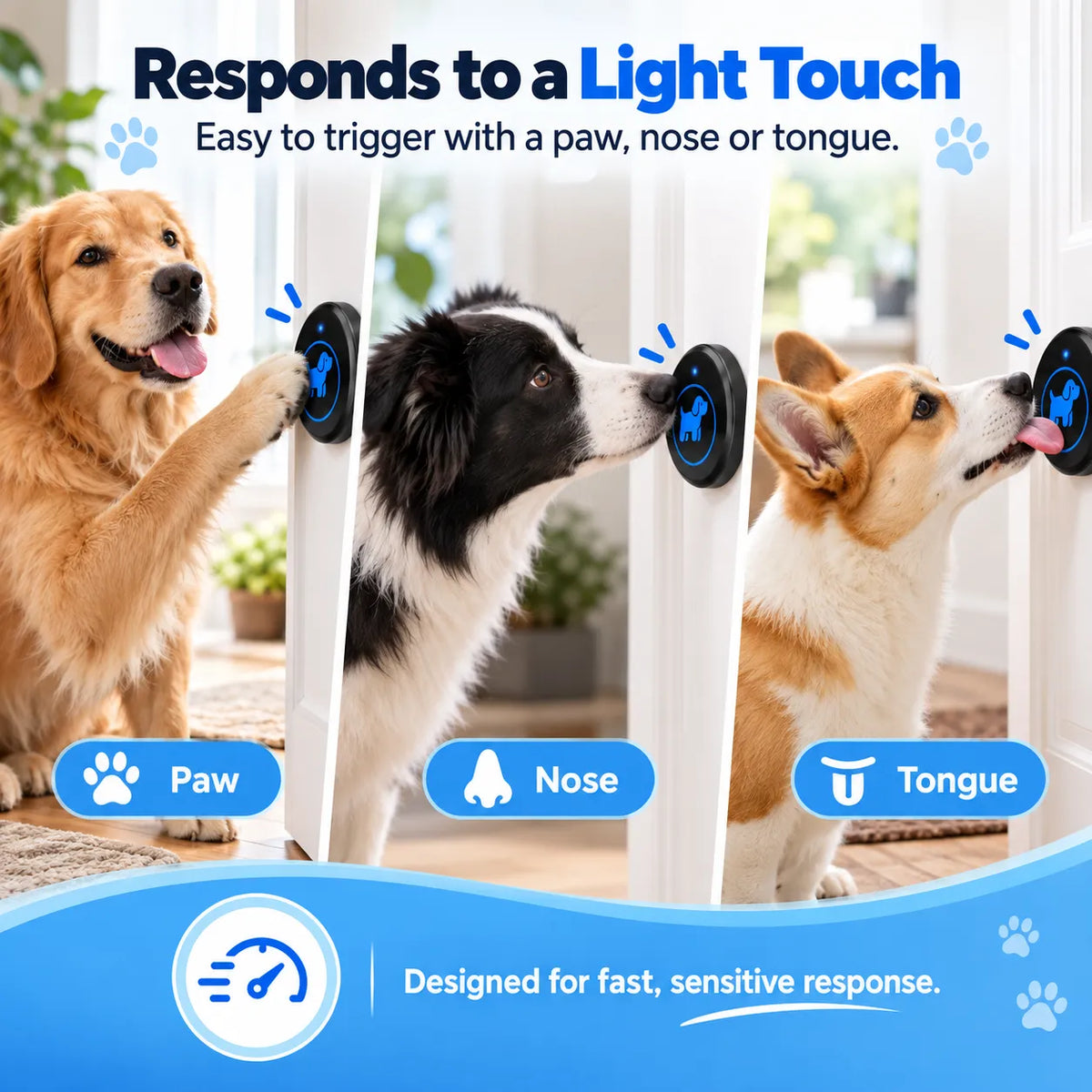 🎁Easy-Touch Wireless Dog Doorbell for Potty Training
