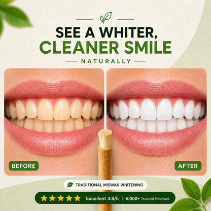 Miswak Sticks for Teeth Organic | Siwak Toothbrush Stick