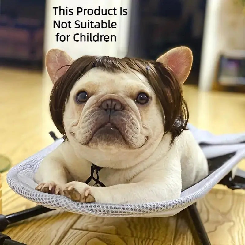 🐶🐱 Funny Pet Wig Headband, Cute Short Hair Accessories for Dogs & Cats 💝 Valentine's Gift