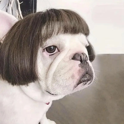 🐶🐱 Funny Pet Wig Headband, Cute Short Hair Accessories for Dogs & Cats 💝 Valentine's Gift