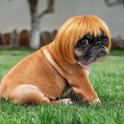 🐶🐱 Funny Pet Wig Headband, Cute Short Hair Accessories for Dogs & Cats 💝 Valentine's Gift