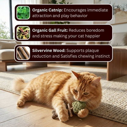Catnip and Silvervine Chew, Natural Fishbone Chew Toy for Cats