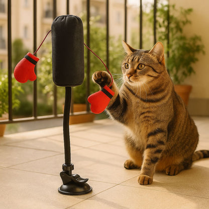 Cat Punching Bag Toy