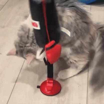 Cat Punching Bag Toy