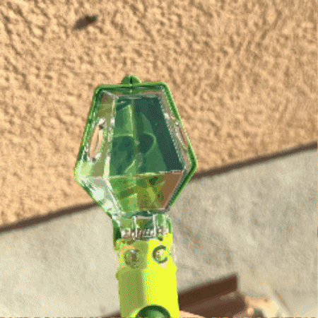 🐛 Kids Bug Catcher Viewer with 6X Magnifier