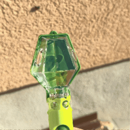 🐛 Kids Bug Catcher Viewer with 6X Magnifier