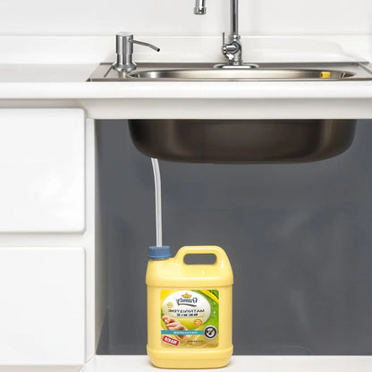 Built-in Kitchen Sink Soap Dispenser with Extension Tube