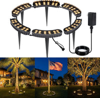 Set of 6