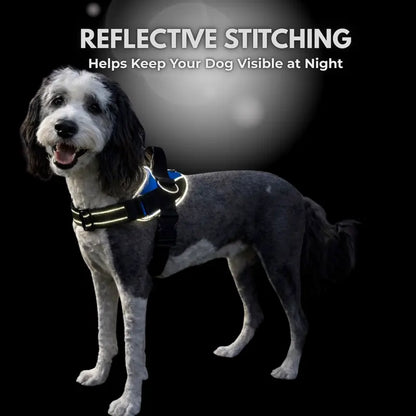 ❤️No-Pull Dog Harness – 3-Point Leash Control, Reflective & Adjustable