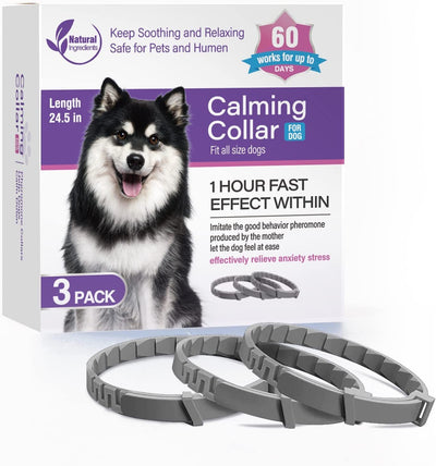 Verstellbares Halsband-Set mit Frischeduft für Hunde (3 Stk.) – Leicht & bequem für große Hunde