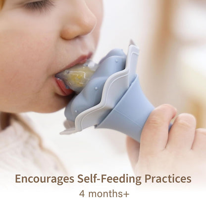 Baby Silicone Fruit Feeder & Teething Pacifier
