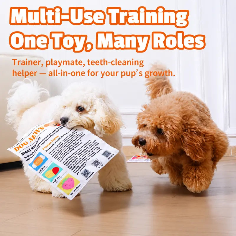 Durable Crinkle Newspaper Dog Toy Set – 2PCS Interactive Chew Toy for Dogs