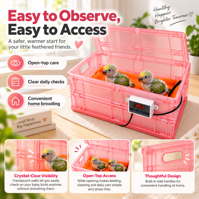 Digital thermostat and soft liner for chick brooder